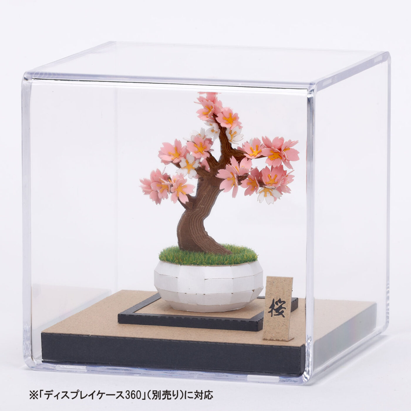 盆栽 桜の商品画像4