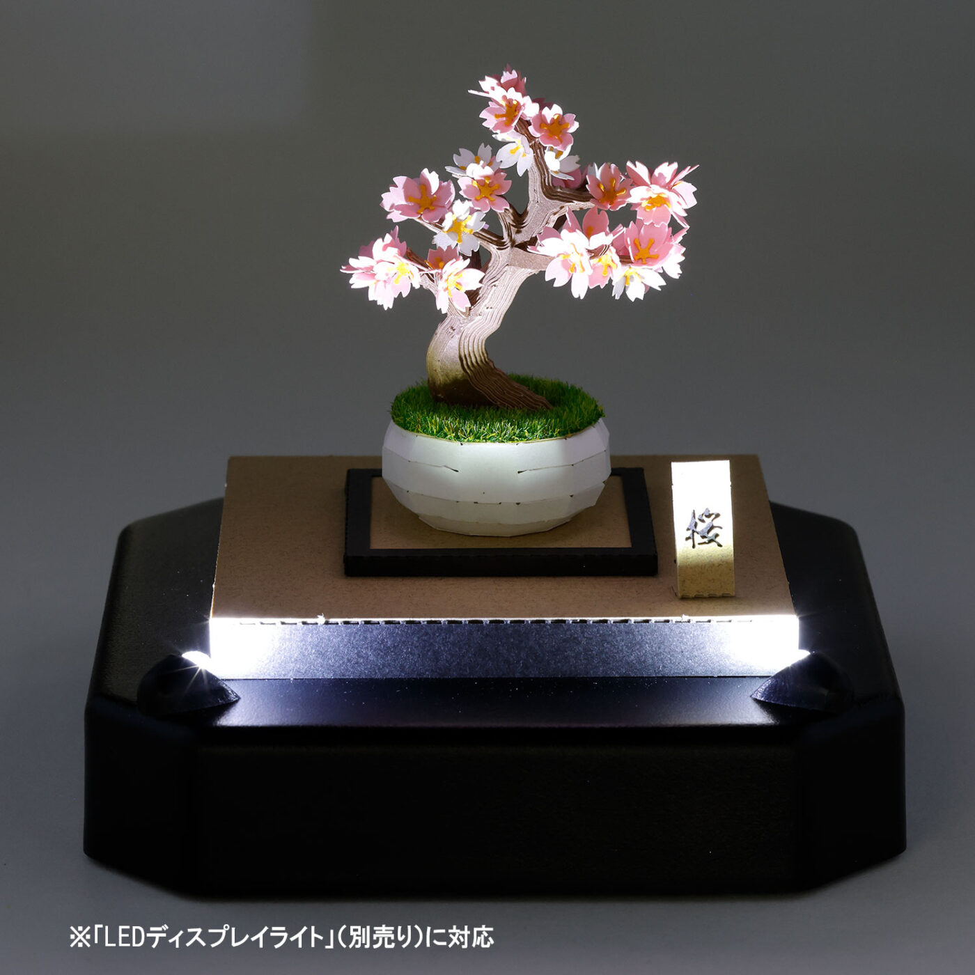 盆栽 桜の商品画像5