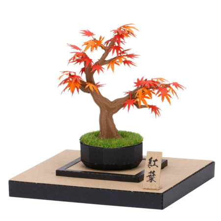 Product image of 盆栽 紅葉2