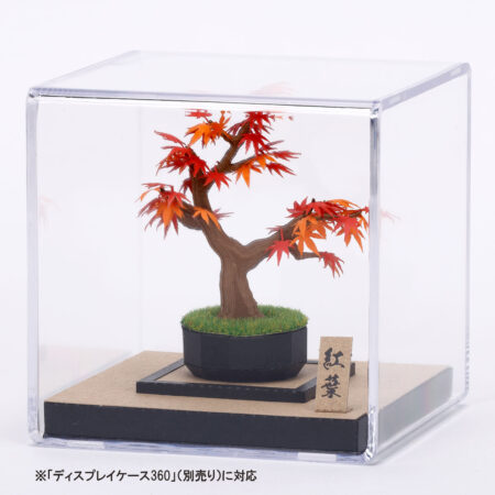 Product image of 盆栽 紅葉4